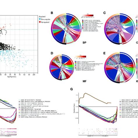 Functional Analysis Of DEGs Between Two Clusters A The 292 DEGs