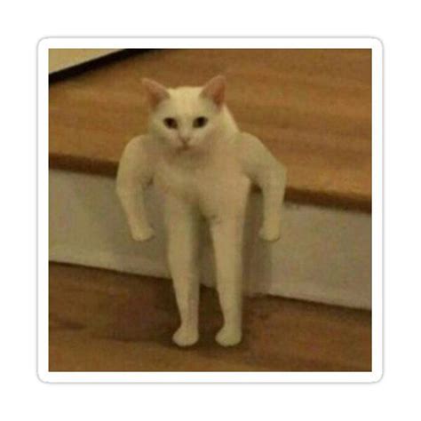 "Standing Cat Meme - Had to do it to em" Sticker for Sale by ...