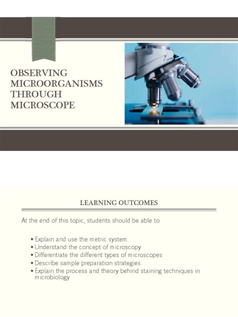 Observing Microorganisms Through Microscope | PDF | Staining | Microscope