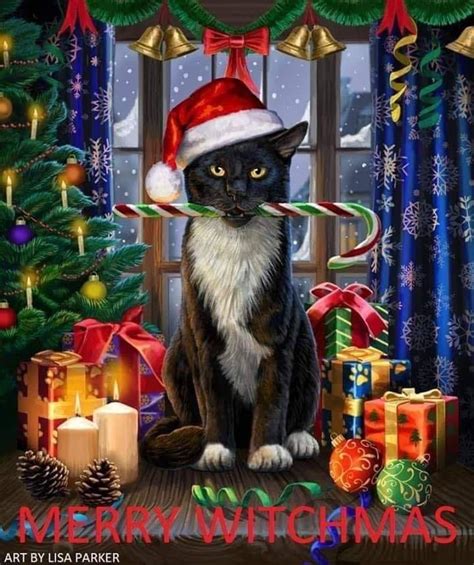 Pin By Cj Crandall On Witchy Woman Cat Artwork Christmas Cats