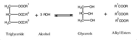 Transesterification Of Triglycerides To Alkyl Esters Biodiesel