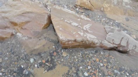 Fossils Tin Can Beach Saint John NB Jan 21 2019 Bead Find YouTube