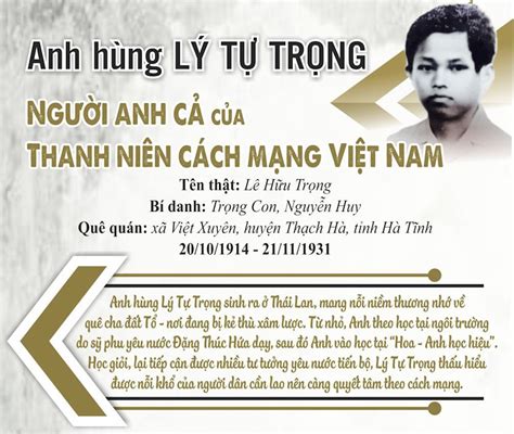 Infographic Anh H Ng L T Tr Ng Ng I Anh C C A Thanh Ni N C Ch