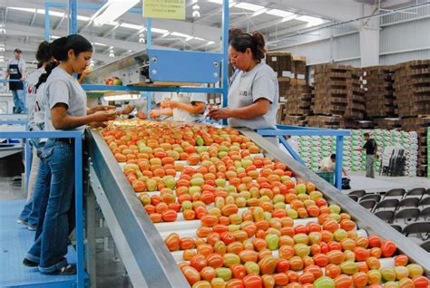 Balanza comercial agroalimentaria tiene superávit en 2021