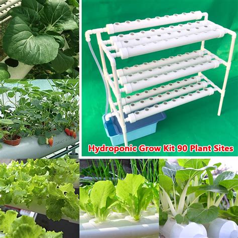 Sistema De Crescimento Hidrop Nico De Plantas Sistema Hidrop Nico