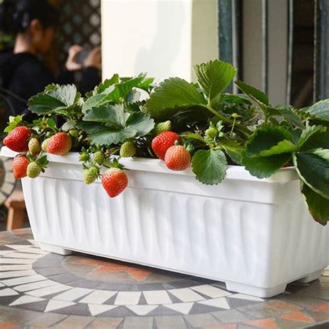 6 Best Strawberry Planters and Pots - A Garden Diary