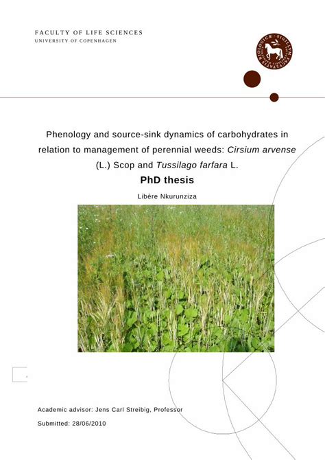 Pdf Phd Thesis Orgprints Orgorgprints Org Pdf Iv