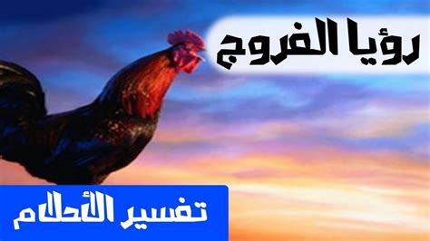 الفروج في الحلم تفسير الاحلام لابن سيرين Mr Info Youtube