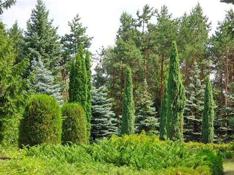 Vasyutintsy, Ukraine: All You Must Know Before You Go (2024) - Tripadvisor