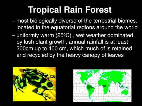 Ppt Biomes Powerpoint Presentation Free Download Id 98946