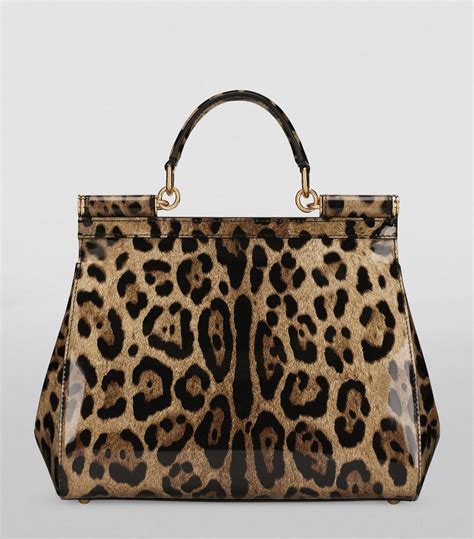 Womens Dolce And Gabbana Multi Kim Dolceandgabbana Medium Leopard Print