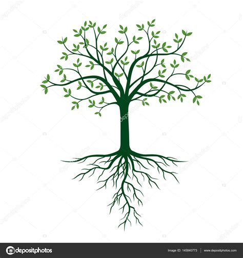 Tree With Roots And Green Leafs Vector Illustration Stock Vector