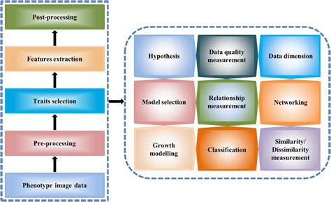 A General Workflow For The High Throughput Image Data Analysis The