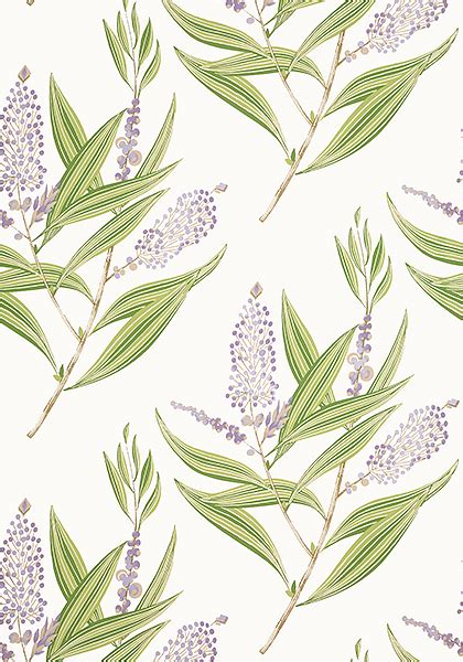 Thibaut At Winter Bud Wallpaper Willow Tree Wallpapers Jayelle