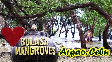 Bulasa Mangroves Resort Argao Cebu Youtube