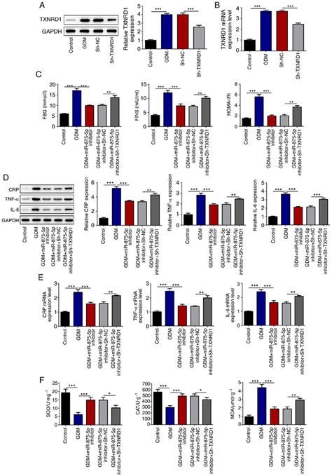 Txnrd Knockdown Reverses The Effects Of Mir P Inhibitor A And