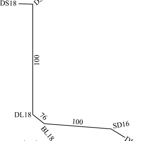 The Neighbor Joining Dendrogram Based On Genetic Distances Among