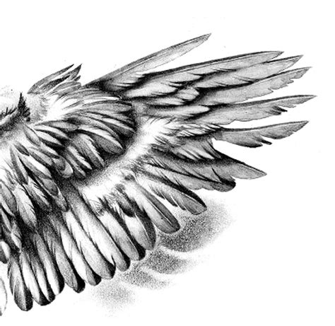 2 X Sexy Wing Tattoo Design Digital Download Tattoodesignstock