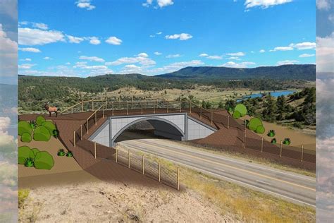 Amazing Wildlife Viewing At Colorado Drive-Thru Refuge