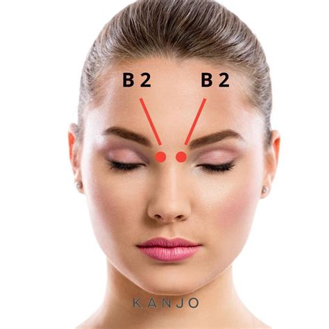 11 Sinus Pressure Points for Relief | Sinus pressure points, Sinus pressure, Sinusitis