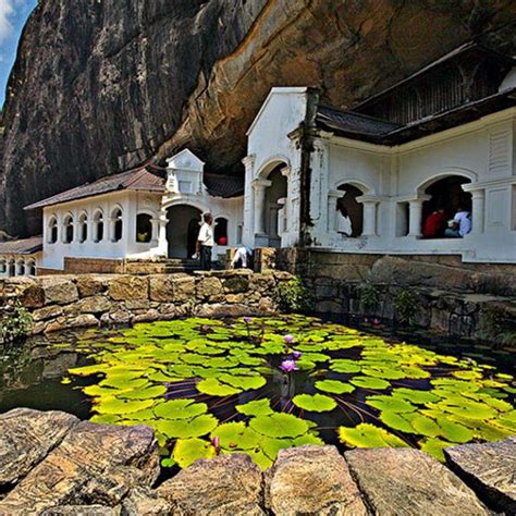 Dambulla Pidurangala Rock And Minneriya National Park Half Day Safari