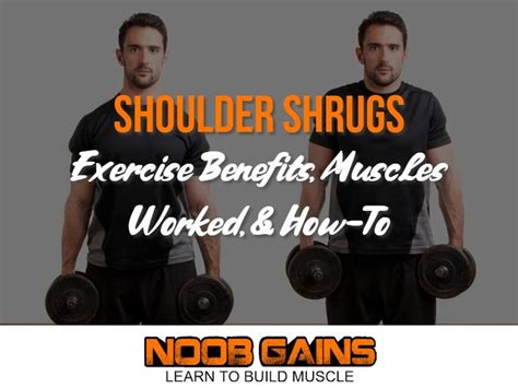 Shoulder Shrugs: Exercise Benefits Muscles Worked & How-To | Muscle ...