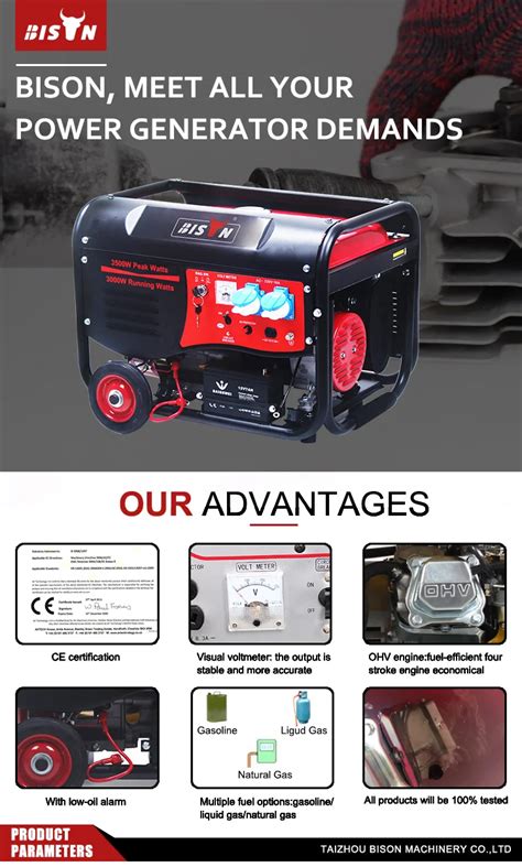 Bison Kw Patented Technology Portable Gasoline Electric Generator For