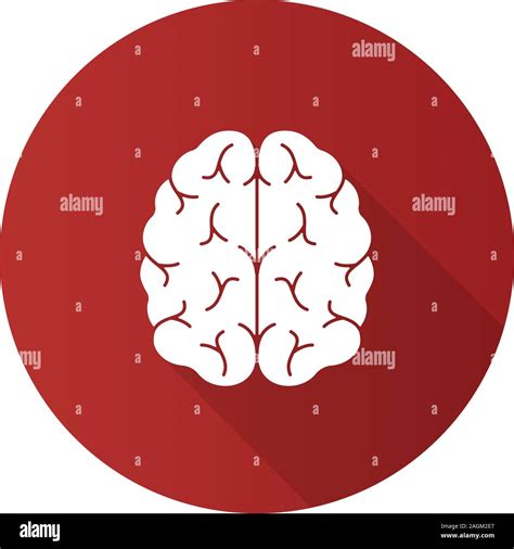 Cerebro Humano diseño plano larga sombra glifo icono Órgano del