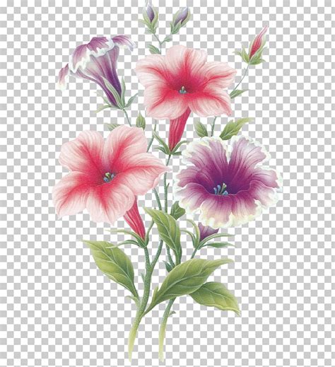 august flower clipart 10 free Cliparts | Download images on Clipground 2024