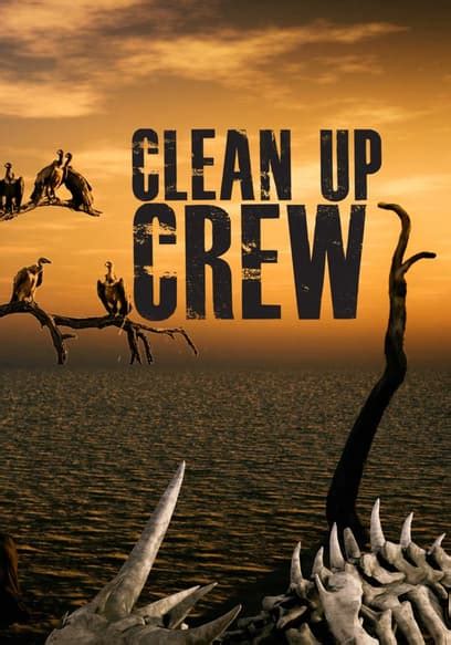 Watch Clean Up Crew (2021) - Free Movies | Tubi