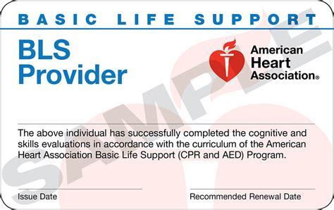 Basic Life Support For The Healthcare Provider CPR Kitsap