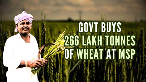 Govt Procures Lakh Tonnes Of Wheat At Msp