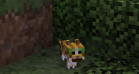 🔥 [50+] Minecraft Ocelot Wallpapers | WallpaperSafari