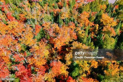 39 Lutsen Mountains Stock Photos, High-Res Pictures, and Images - Getty ...