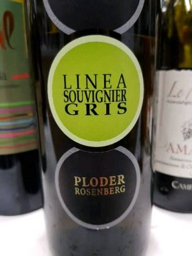 Ploder Rosenberg Linea Souvignier Gris Vivino US