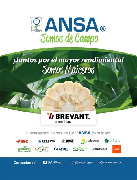 Manejo Integral De Plagas Control Biológico Y Control Químico Revista Infoagro México