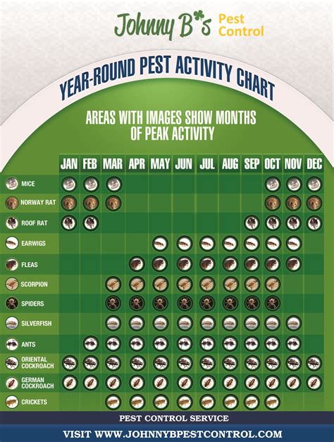 Pest Control Monthly Plan Template