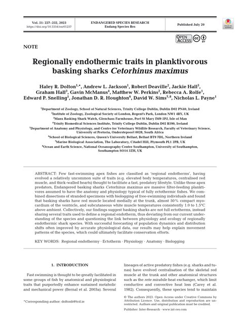 Pdf Regionally Endothermic Traits In Planktivorous Basking Sharks