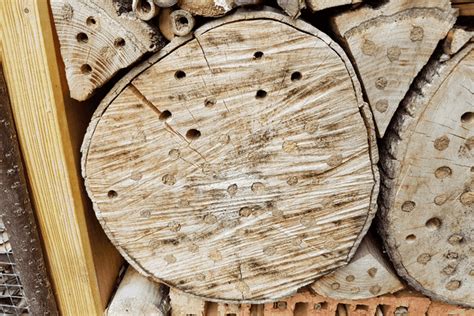 Common Wood Defects: Types of Lumber Issues | Decks.com