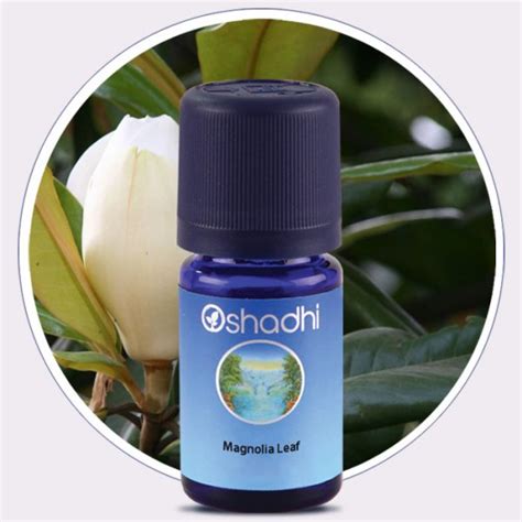 Magnolia Leaf Essential Oil Oshadhi Essential Oils