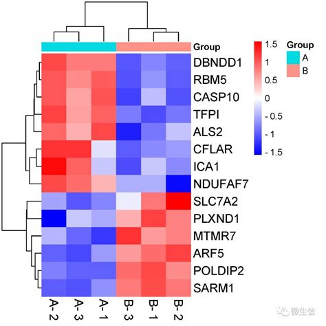 在线绘制rna Seq，microarray基因表达谱聚类热图heatmap 知乎