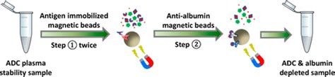 A Two Step Immunocapture LC MS MS Assay For Plasma Stability And