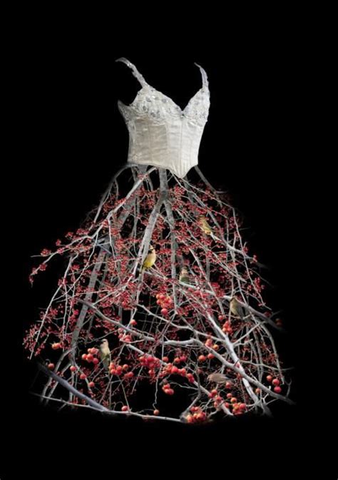 Untitled (Berry Dress), 2009 by Todd Murphy | Art dress, Floral fashion ...