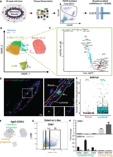 Integrated Single Cell Transcriptomics And Chromatin Accessibility