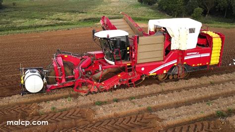 K Harvest Foskett Farms Harvesting Potatoes Near Hemley