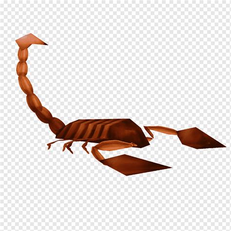 Беспозвоночные, кувшинки, коричневый, скорпион, арт png | PNGWing