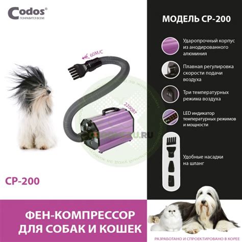 Купить Компрессор Codos CP-200 для сушки собак и кошек, 2200 Вт по цене ...