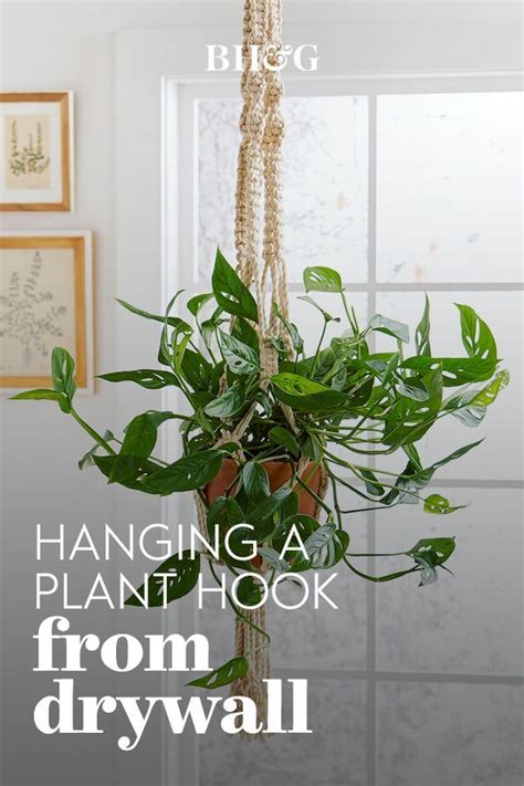 Hanging Plant Hooks From Drywall Is A Different Process Than Installing