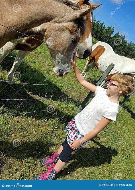 Fille et cheval image stock Image du équin fille animaux 94138447