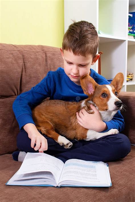 Boy is Reading a Book in His Room with a Small Dog Stock Image - Image ...